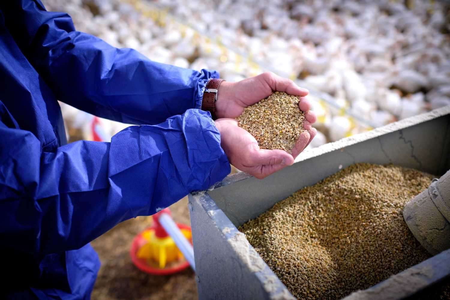 SOP Manual for Other Animal Food Manufacturing SOP1061