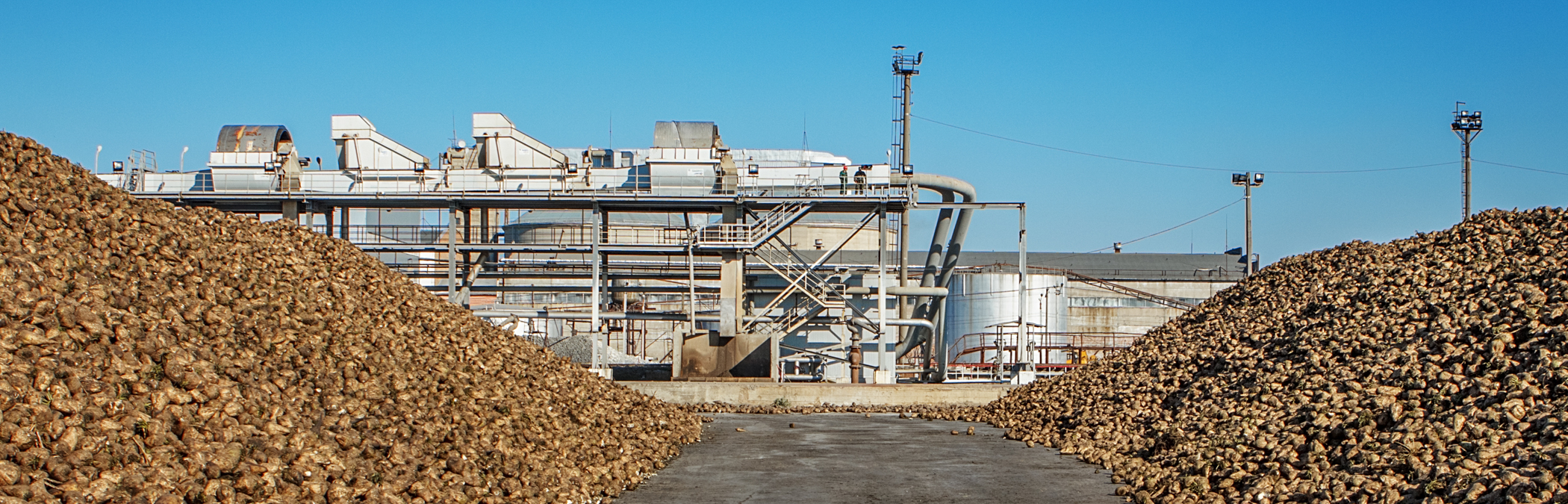 SOP Manual for Beet Sugar Manufacturing SOP-761